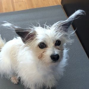 Meet your Posher, Alexis